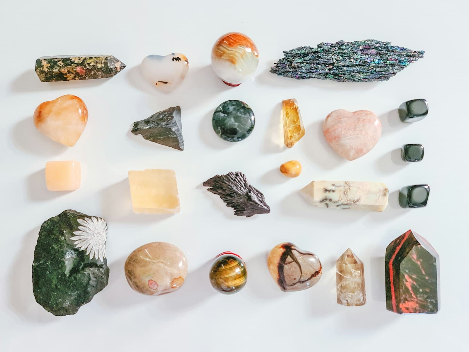An assortment of unique natural specimens